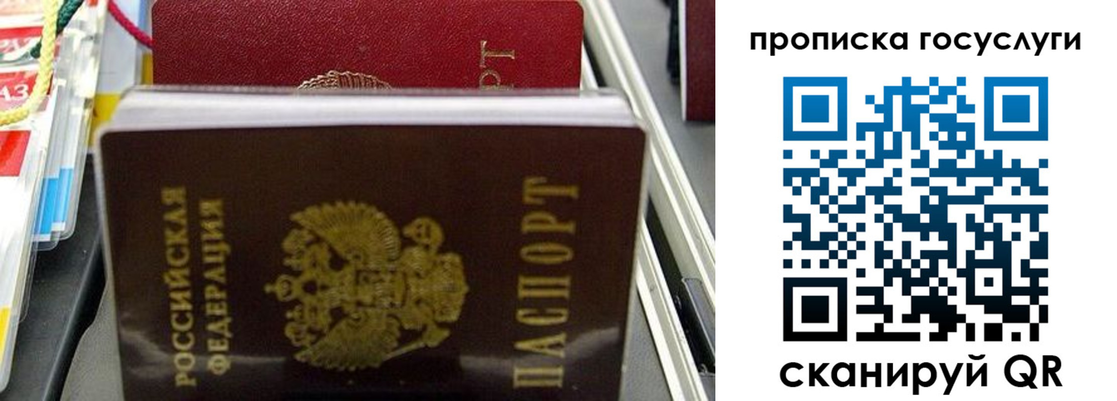 где прописаться в Волгограде